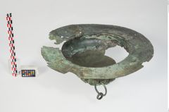 Foto von Bronzebreitrandfußschale (NHMW-PRAE-024138)